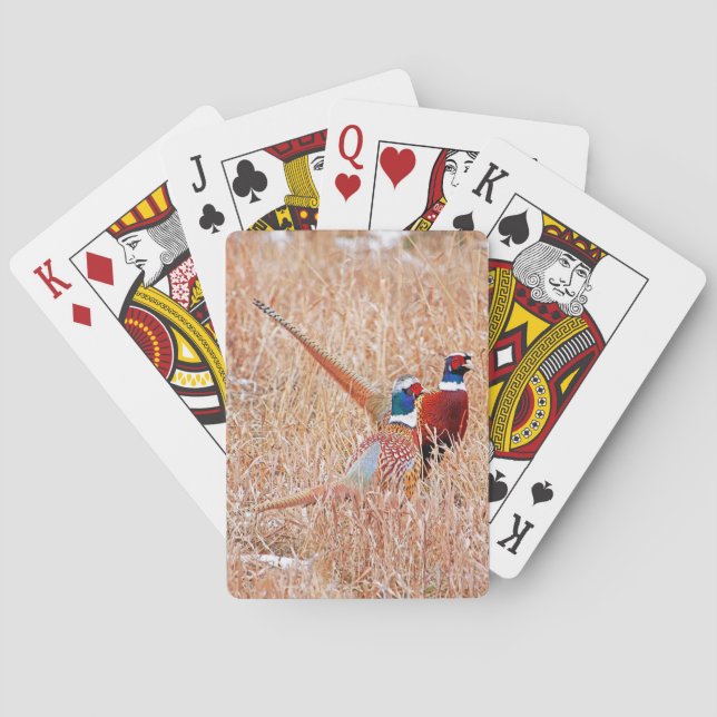 Ring Neck Pheasant Bicycle Playing Cards Spielkarten (Rückseite)