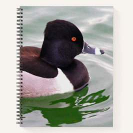 Ring Necked Duck Notizbuch