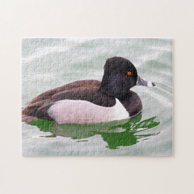 Ring Necked Duck Puzzle (Horizontal)