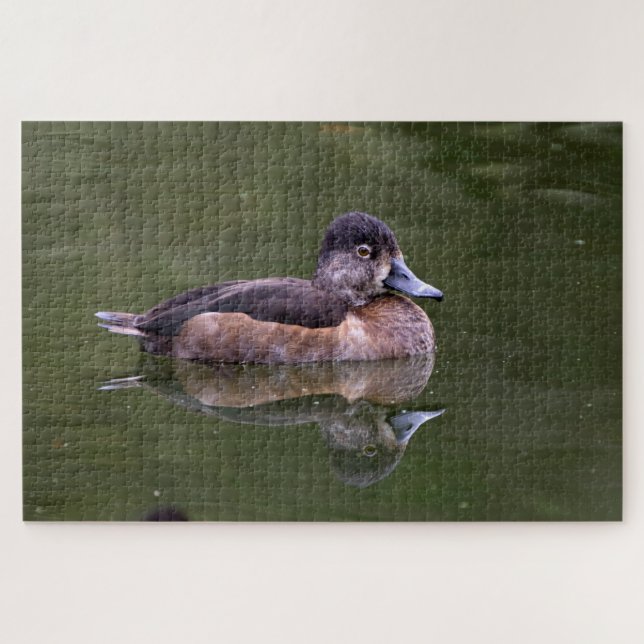 Ring-Necked Duck Puzzle (Horizontal)