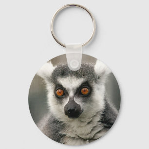 Ring-Schwanz Lemur Schlüsselanhänger