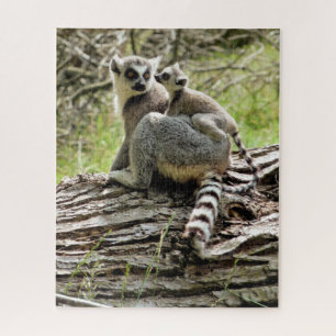 RING-TAED LEMUR PUZZLE