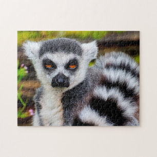 Ring Tail Lemur, Jigsaw Puzzle