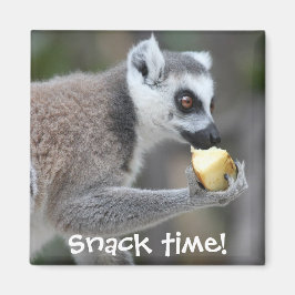 Ring-Tail Lemur - Snack Time! Magnet