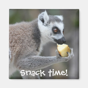 Ring-Tail Lemur - Snack Time! Magnet