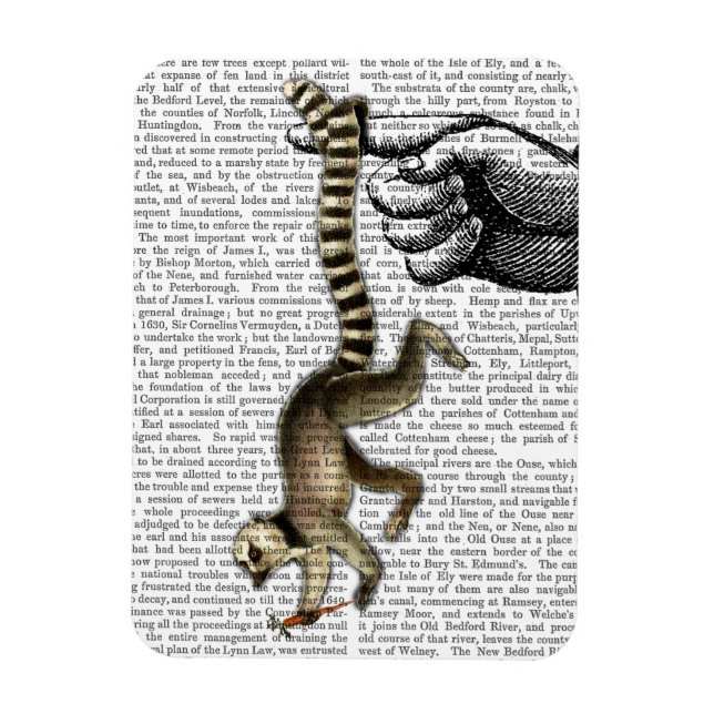 Ring Tails Lemur auf Finger 2 Magnet (Vertikal)