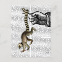 Ring Tails Lemur auf Finger 2