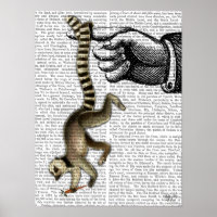 Ring Tails Lemur auf Finger