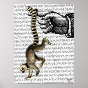Ring Tails Lemur auf Finger Poster