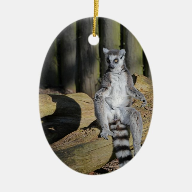 Ring Tails Lemur Drusillas Park Keramik Ornament (Vorne)