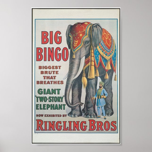 Ringbros Big Bingo, das Elefant Circus Poster (Vorne)