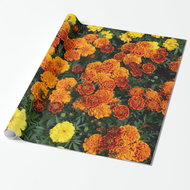 Ringelblume Geschenkpapier (Ungerollt)