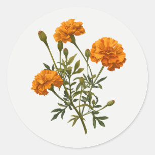 Ringelblume Goldgelbe Gartenblume Florale Kunst Runder Aufkleber