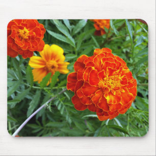 Ringelblume in der Sonne Mousepad