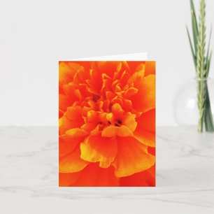 Ringelblume Karte