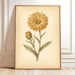 Ringelblumen-Blumenkunst-Leinwanddruck Poster