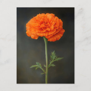 Ringelblumen-Botanikmalerei Postkarte