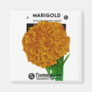 Ringelblumen-Samenpaket im Vintage-Stil Magnet