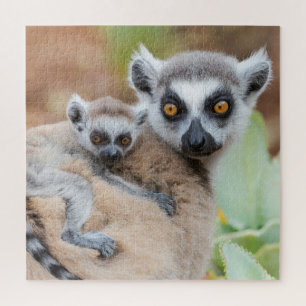 Ringelschwanzmaki-Baby auf dem Rücken seiner Mutte Puzzle