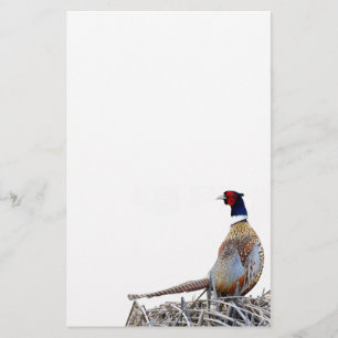 Ringhalssträhne aus pastellfarbenem Foto Briefpapier