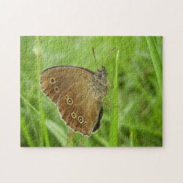 Ringlet Butterfly Foto Puzzle mit Geschenkboxen