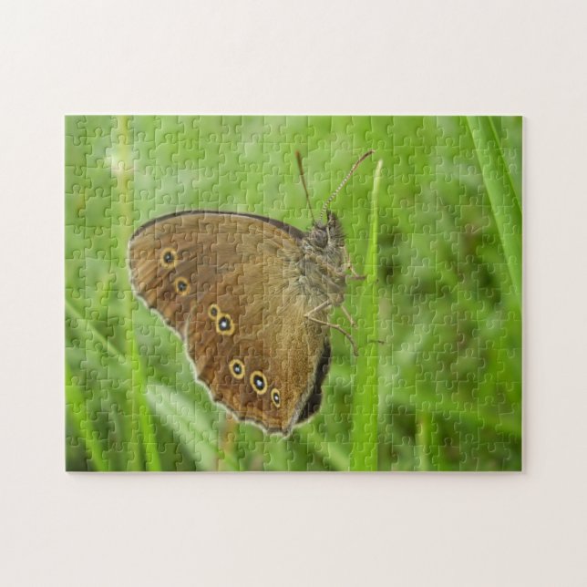 Ringlet Butterfly Foto Puzzle mit Geschenkboxen (Horizontal)