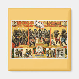 Ringling Bros Pachyderms1899 Magnet