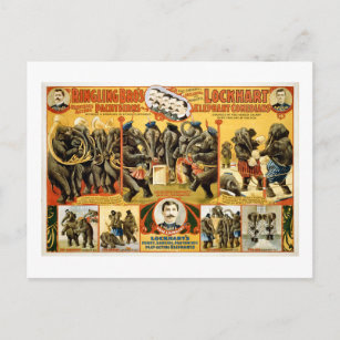 Ringling Bros Pachyderms 1899 Vintage Elefanten Postkarte