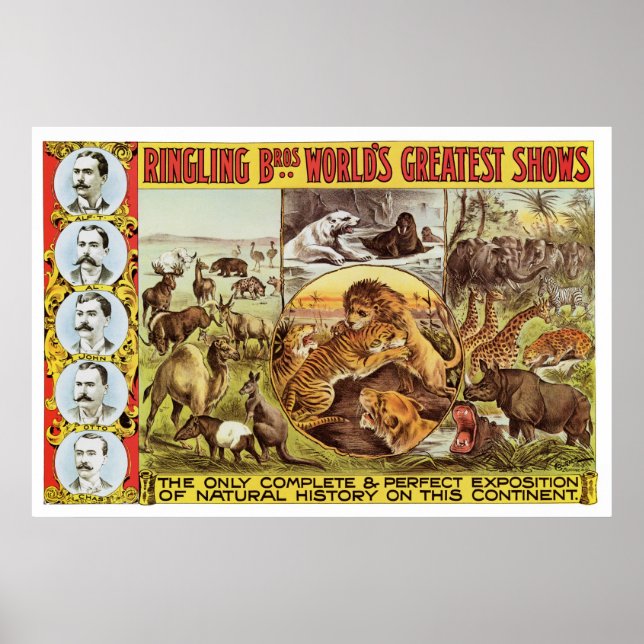 Ringling Bros. Wilde Tierwerbung in den 1900er Jah Poster (Vorne)