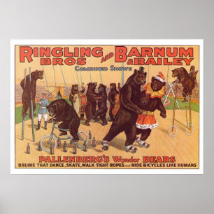 Ringling Bros. Wunderbärenwerbung in den 1920er Ja Poster