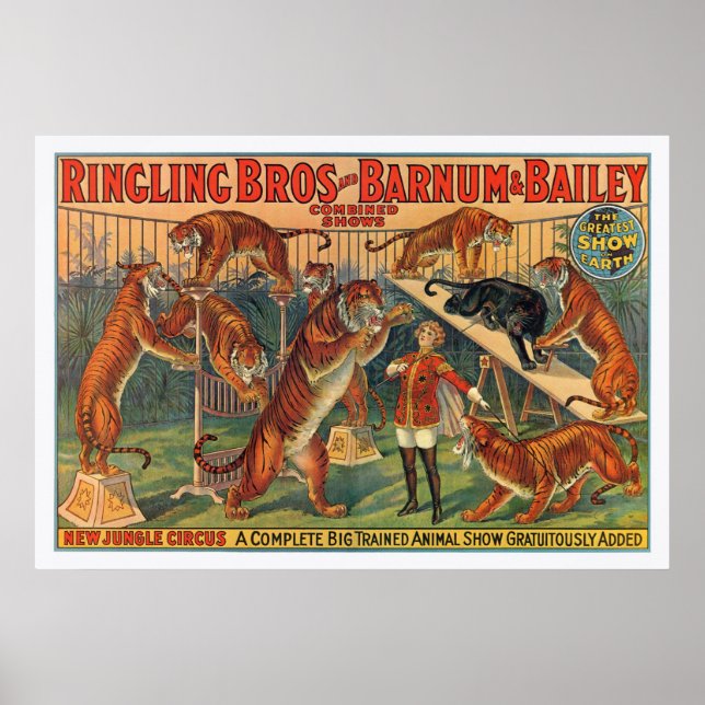 Ringling Brothers Barnum and Bailey Tigers Poster (Vorne)