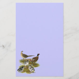 Ringneck Fasan-Familie Briefpapier