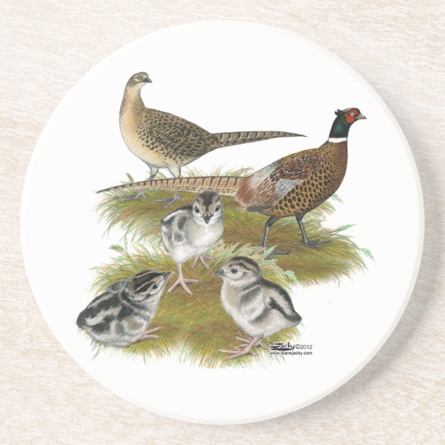 Ringneck Getränkeuntersetzer (Vorne)