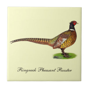 Ringneck Pheasant Rooster Fliese