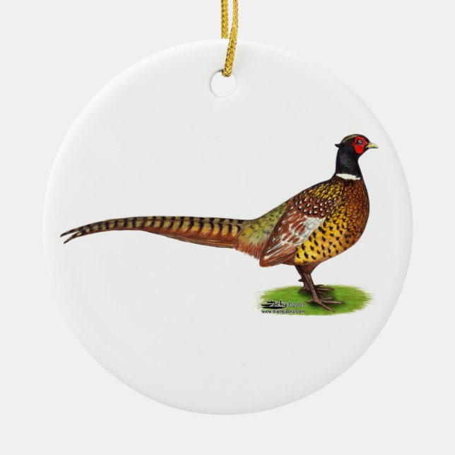 Ringneck Pheasant Rooster Keramikornament (Vorne)
