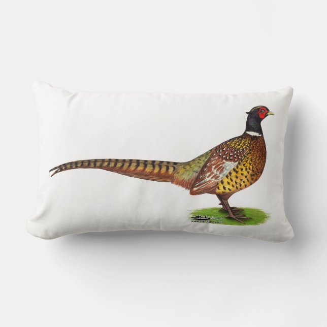 Ringneck Pheasant Rooster Lendenkissen (Vorderseite)