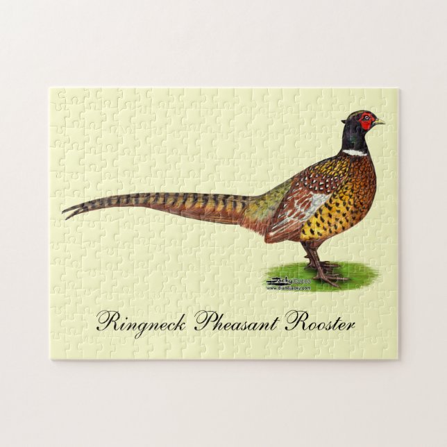 Ringneck Pheasant Rooster Puzzle (Horizontal)