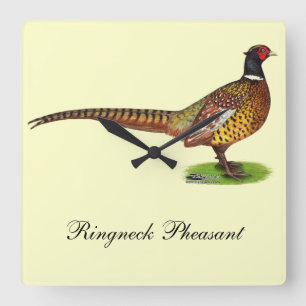 Ringneck Pheasant Rooster Quadratische Wanduhr