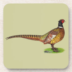 Ringneck Pheasant Rooster Untersetzer