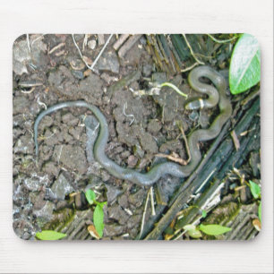 Ringneck Schlange Mousepad