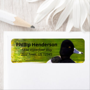 Ringnecked Encks Schwarz & Weiß Vögel Grünes Wasse