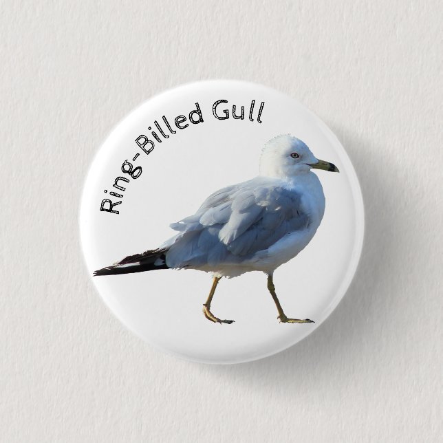 Ringschädelmöwe Button (Vorderseite)