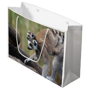 Ringschwanzmütter und Baby Große Geschenktüte