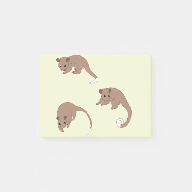 Ringschwanzpossums Post-it Klebezettel (Vorderseite)