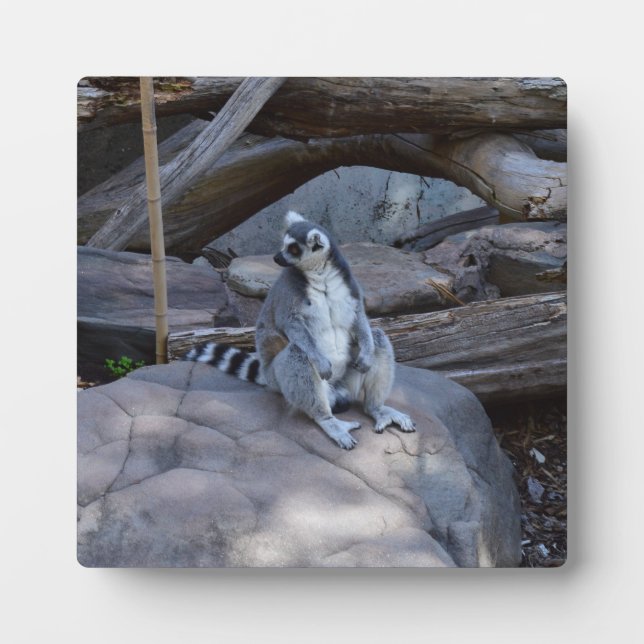 Ringtail Possum Foreman at Work Fotoplatte (Vorderseite)