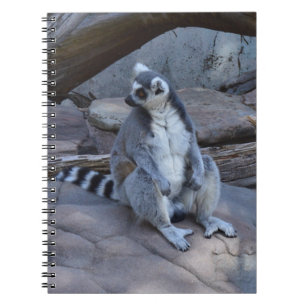 Ringtail Possum Foreman at Work Notizblock