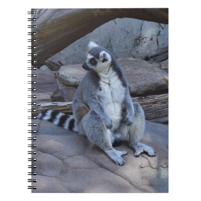 Ringtail Possum Foreman at Work Notizblock (Vorderseite)