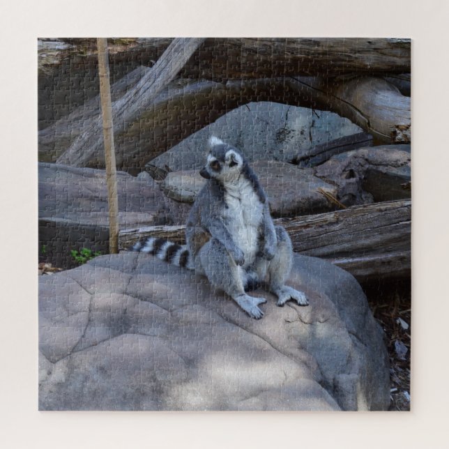 Ringtail Possum Foreman at Work Puzzle (Vertikal)