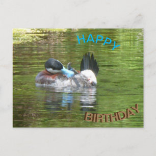 Ringtaling Duck Happy Birthday Postcard Postkarte