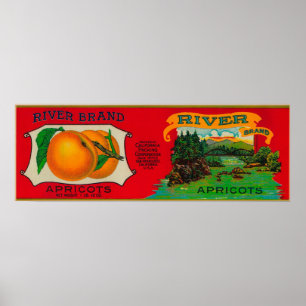 Rio Apricot Label Poster